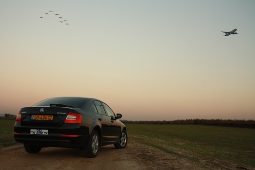 סקודה אוקטביה